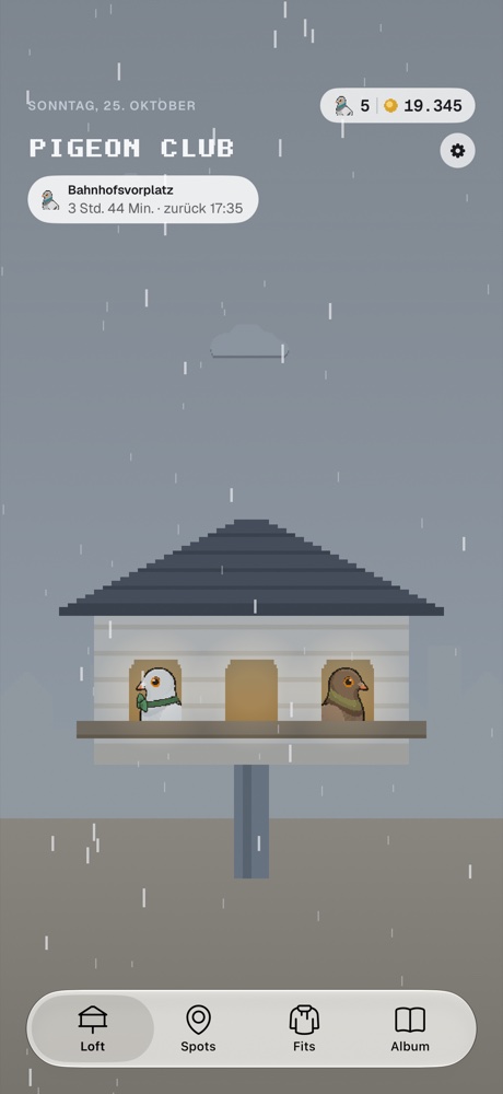 Das Loft bei Regen, die Tauben sitzen drinnen